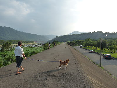 Taiwan, li, bambú wai, a peu, paisatge, veure, gos