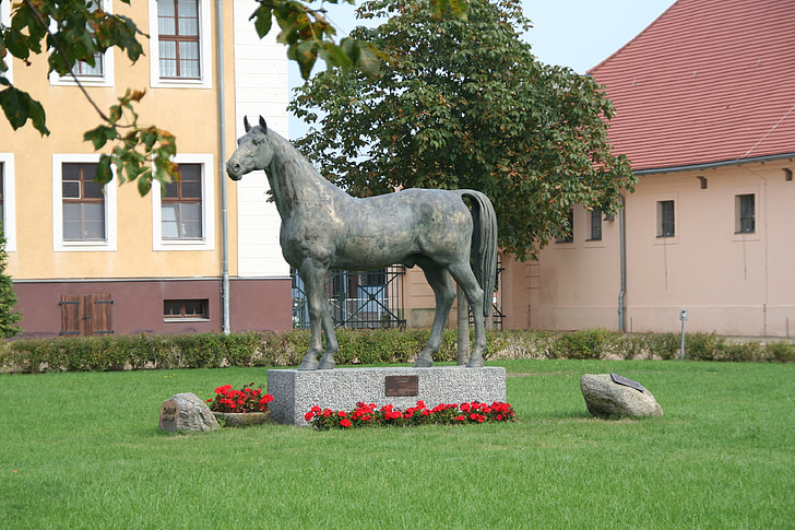 Đài tưởng niệm, vẫn còn hình ảnh, chăn nuôi stallion, chim ruồi, bộ nhớ, Stud neustadt dosse