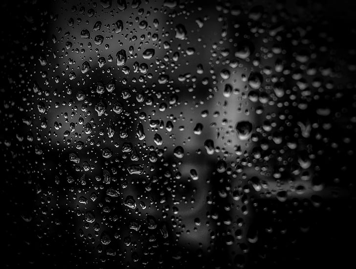 black, close-up, dark, dew, drop of water, droplets, drops