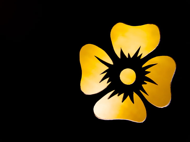 λουλούδι, περίγραμμα, Κίτρινο, περιγράμματα, σιλουέτα