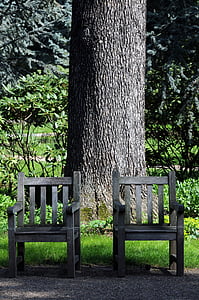 Albert kahn Κήπος, Ιαπωνικά Κήπος, Μπουλόν-Μπιγιανκούρ, φύση, πάγκος, δέντρο
