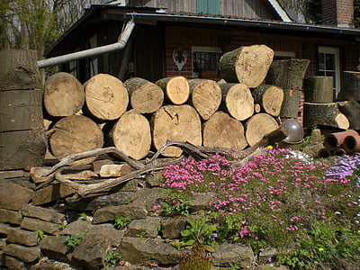 træ, stammer, tømmer, holzstapel, brænde, træ - materiale, træ