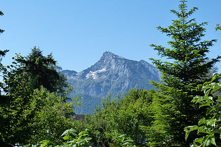unterberg, 山を言う, この石灰岩, ザルツブルク, 山, 風景, ツリー
