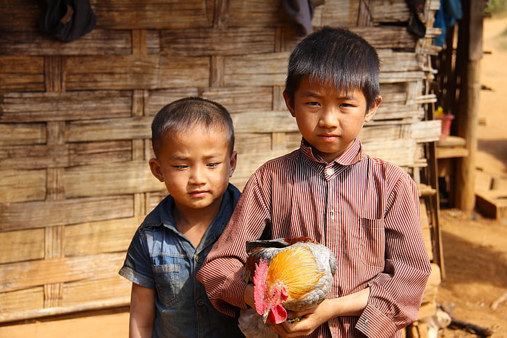 pojkar, lite, unga, Lycklig, promenader, Laos, lokala