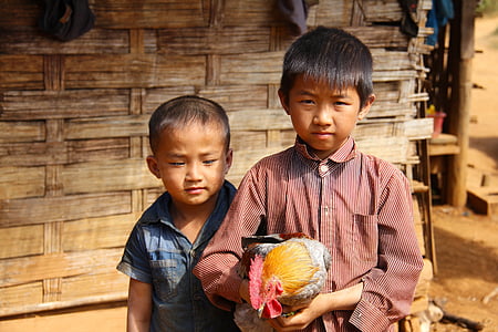 gutter, liten, unge, glad, gå, Laos, lokale