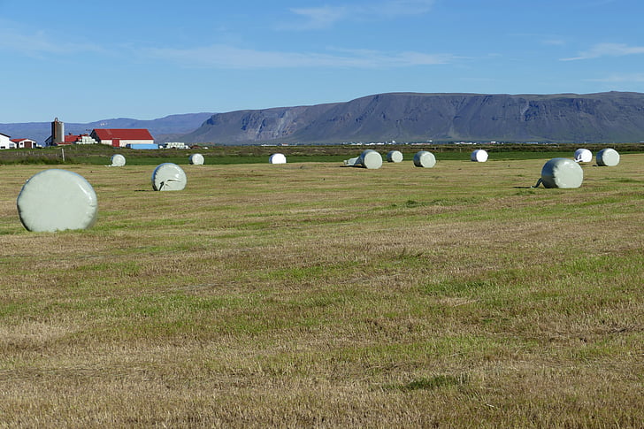 アイスランド, 風景, 自然, 山, 農業, 収穫, 干し草