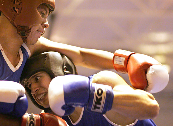 boksači, Mužjaci, boks, sportski, fitness, Bacimo li pogled udarac, prsten