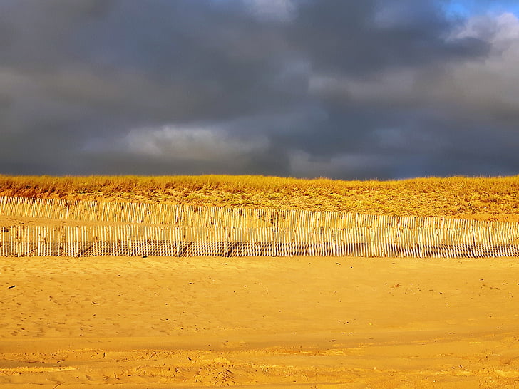 Dina, plaža, pijesak, atlantskoj obali, nakon kiše, Nakon nevremena