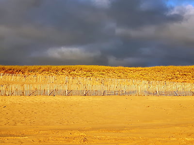 Dune, platja, sorra, costa atlàntica, després de la pluja, després de la tempesta