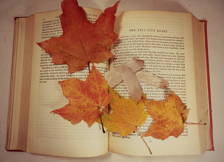autumn, leaves, fall, red, book, old, vintage