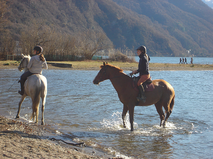 zirgi, ezers, Lugano, ūdens, daba