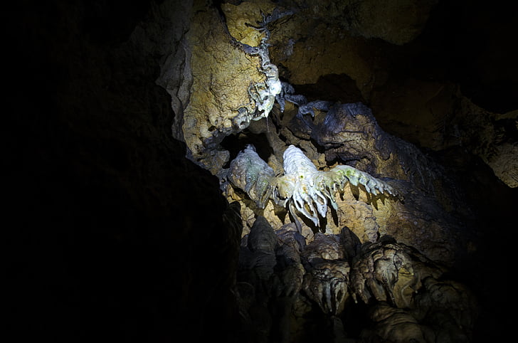 stalactite, cave, stalactite cave, black, blue, beige, animal