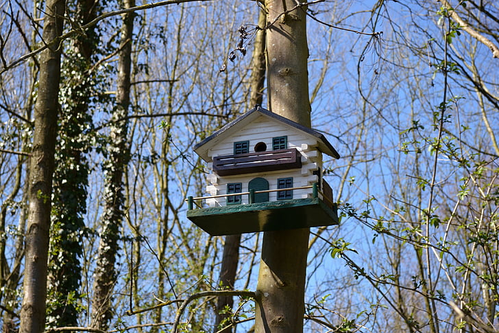 casella di uccello, Birdhouse, foresta, alberi, natura, aria, scatola di nido