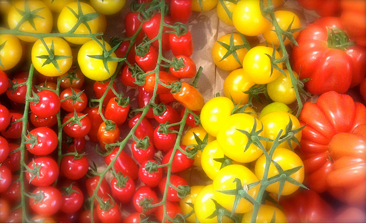 tomaten, paprika 's, groenten, voedsel, rood, geel