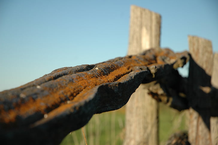 staket, Rust, järn, metall, gamla, blå, Utomhus