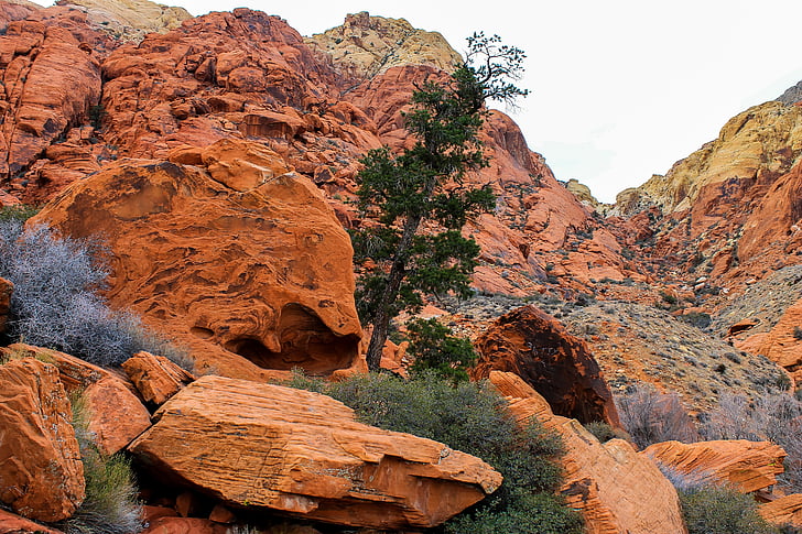 Utah, roten Felsen, rot, nationalen, Park, USA, Wüste