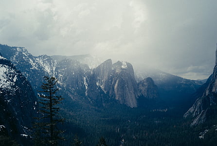 Yosemite, Parc, natura, Nacional, Califòrnia, viatges, bosc