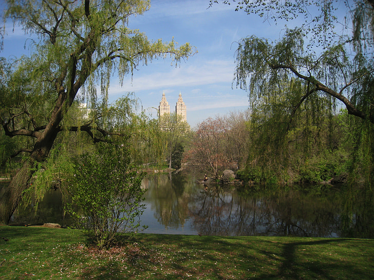 centrální, parku, New york, NYC, rybník, Panorama, New york city