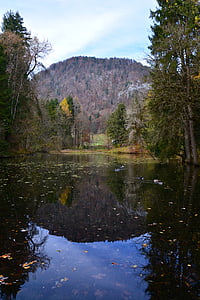 trees, lake, mountain, mirroring, landscape, water, autumn