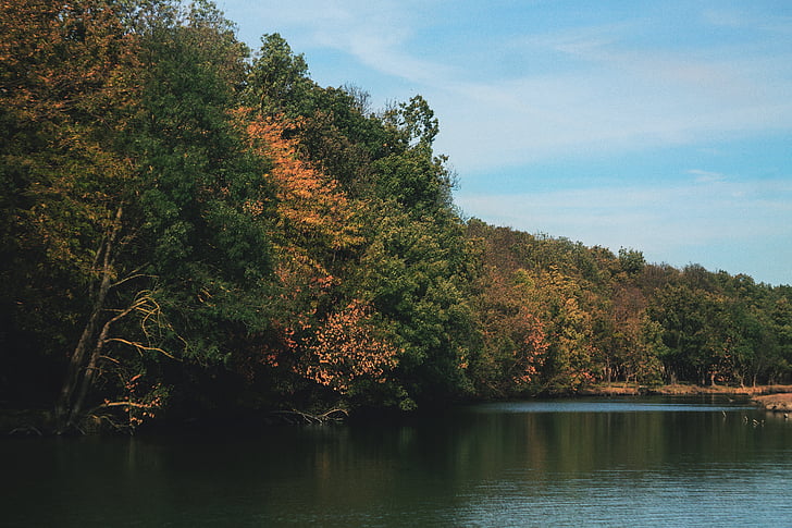 luce del giorno, foresta, Lago, paesaggio, montagna, natura, tempo libero