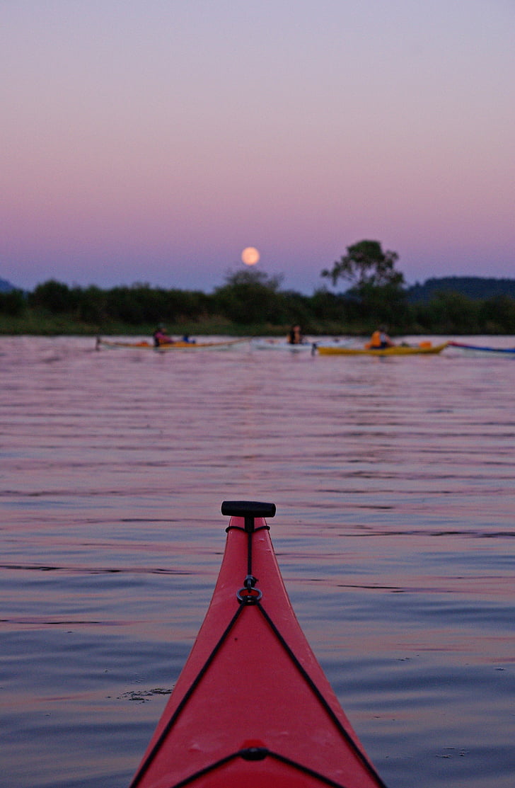 kayak, Groupe, pleine lune, été, eau, bateau, kayak