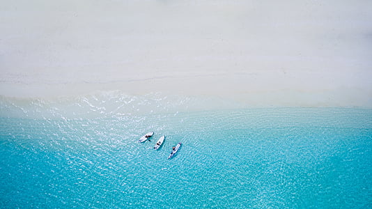 bijeli, pijesak, plaža, oceana, more, vode, brod