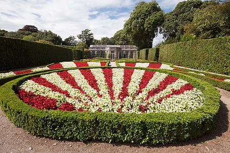 rondelle, 花, 建筑园, 红色, 白色, 法国花园, 植物区系