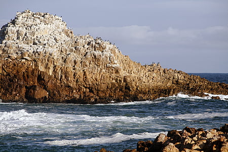 南非, kynsna 头, 海景, 岩石, 海, 水, 自然