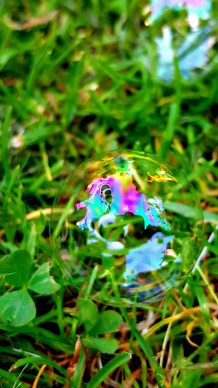 gelembung, warna, rumput, air, bayi, anak, senyum