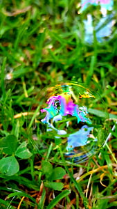 bubble, colour, grass, water, baby, child, smile