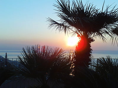 wakacje, zachód słońca, morze, zachodzące słońce, wieczorne niebo, liść paproci lub palmy
