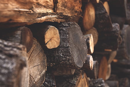 madeira, detalhe, textura, Verão, troncos, cadastro, madeira - material
