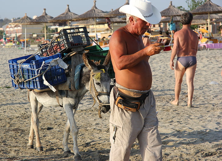 praia, vendedor, burro, Albânia, caixa, chapéu