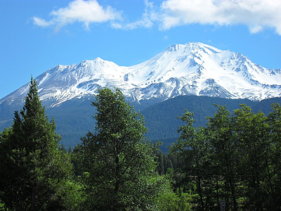 Mount shasta, arbres, blau, verd, paisatge, muntanya, natural