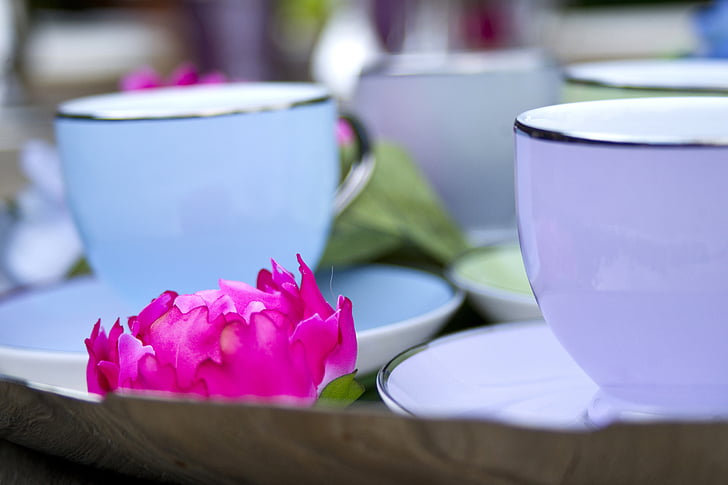 Cup, farve, porcelæn, te, Restaurant, tabel, kaffe