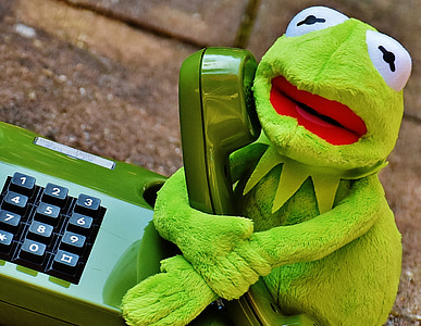 Kermit, granota, telèfon, figura, divertit, granotes, animal