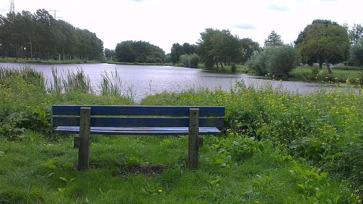 bank, bench, water, nature, wooden bench, wood bench, planking