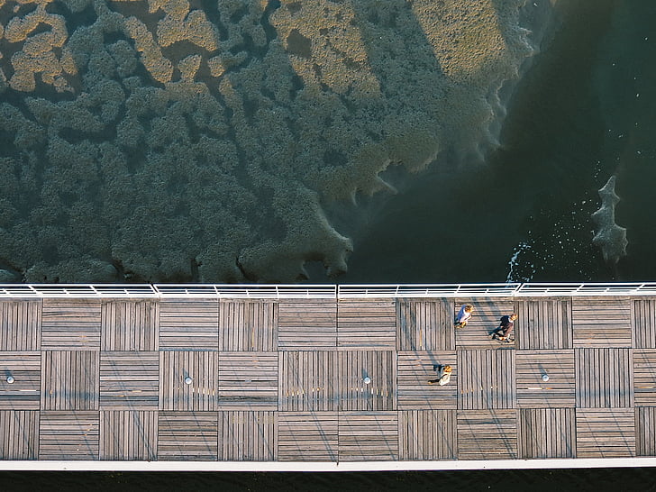 Boardwalk, jetée, Pier, pont, au-dessus de, Aerial, modèle