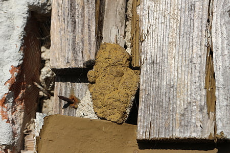 дървен материал, стена, стар, Антик, закален, дъски, дървена стена