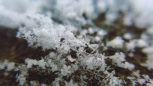 snowflake, winter, snow, cold, ice, frozen, blur