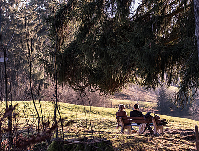 jeseni, Allgäu, ostalo, sprostitev, osamljenosti, božično drevo, Allgäuske Alpe