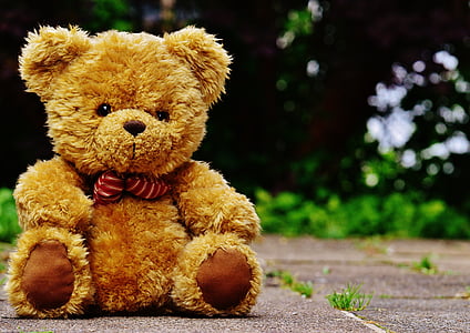 Teddy, Plush, ładny, zabawki, śmieszne, niedźwiedzie, słodkie