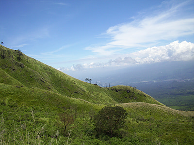 padang rumput, Sabana, Jawa, Timur, Gunung, Indonesia