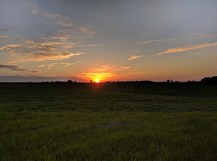 solnedgång, gård, landsbygdens, fältet, Midwest, Illinois