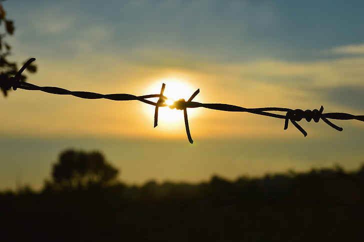 caught, captivity, liberation, rip, sun, wire, fence