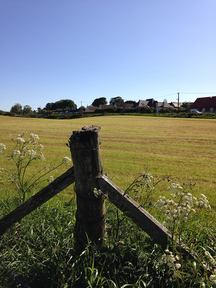 kerítés, Post, a mező, vidéki, fű, zöld, fa