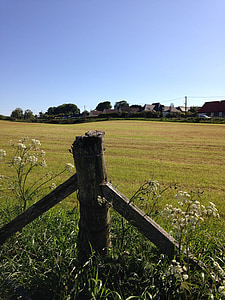 pagar, posting, bidang, pedesaan, rumput, hijau, kayu