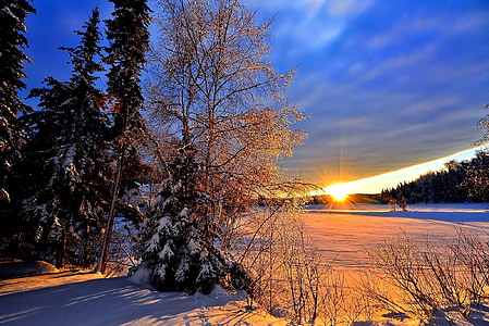 winter landscape, sunset, winter, twilight, cold, snow, nature