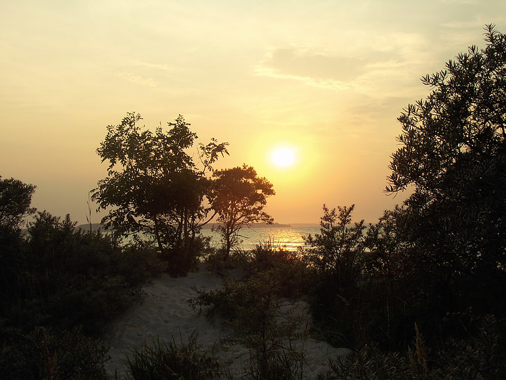 Läänemere, Sea, Sunset, puud