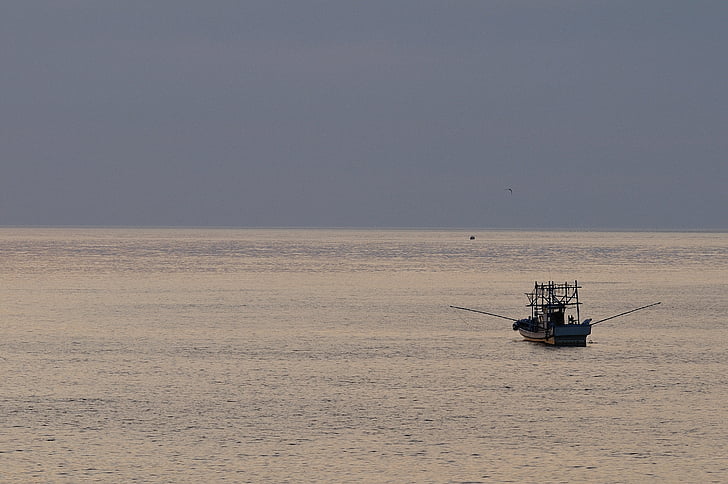 sea, fishermen, ship, fishing, evening, horizon